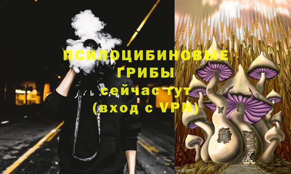 бошки Алексеевка