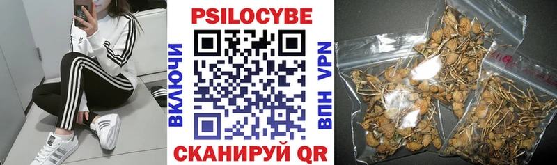 Галлюциногенные грибы мухоморы наркота Орск